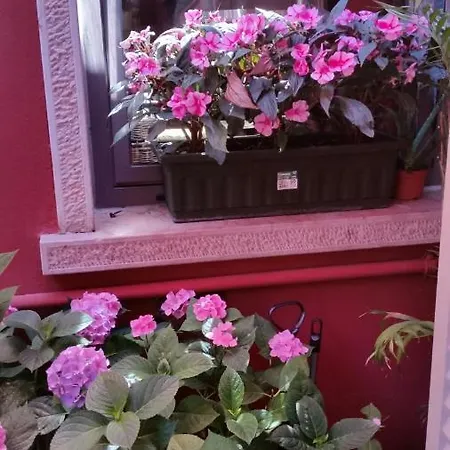 Danieli La Castellana Di Garda