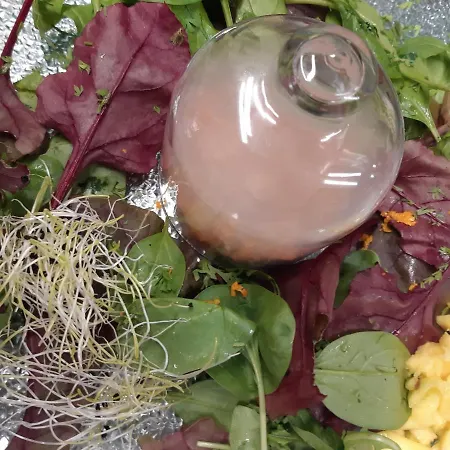 Hotel Danieli La Castellana Di Garda Brenzone sul Garda