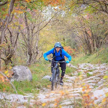 Danieli La Castellana Di Garda