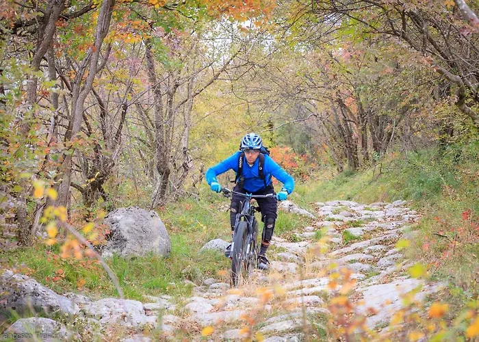 Danieli La Castellana Di Garda